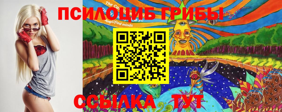 Псилоцибиновые грибы прущие грибы Тайшет