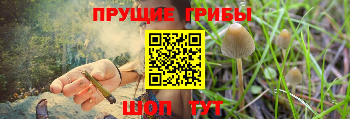 Галлюциногенные грибы MAGIC MUSHROOMS  Псилоцибиновые грибы ЛСД  Вход с VPN  Тайшет 
